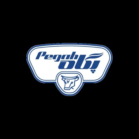 customer logo